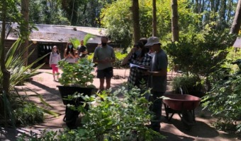 EL VIVERO CONTINA CON LA ENTREGA DE RBOLES Y PLANIFICA UNA JORNADA EN MAR AZUL